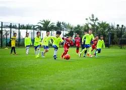 化肥行业明,星股子公司,涉嫌财务造,乐鱼体育官网,APP下载,注册领彩金,官方网站,网站入口