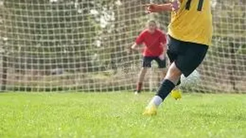 乐鱼体育 资讯 111148 d0x