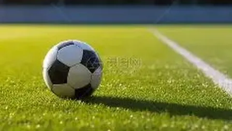 乐鱼体育 资讯 111149 v4n