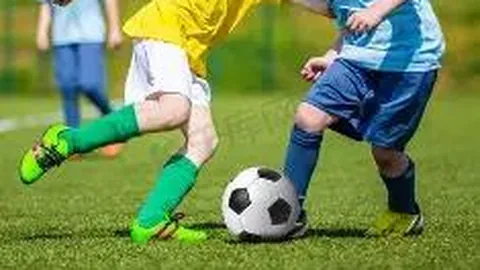 乐鱼体育 产品 112135 2yk