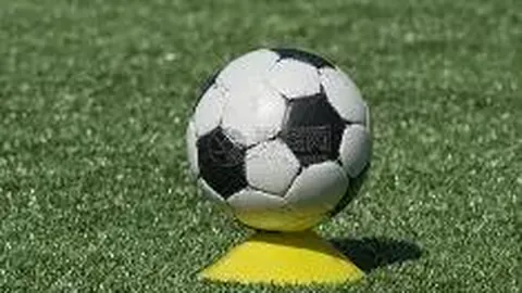 乐鱼体育 资讯 112329 d61